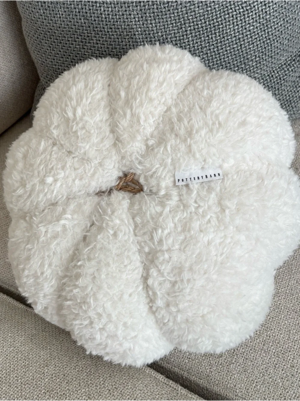Pottery Barn Plush White Decorative Pumpkin Pillow with Twine Stem